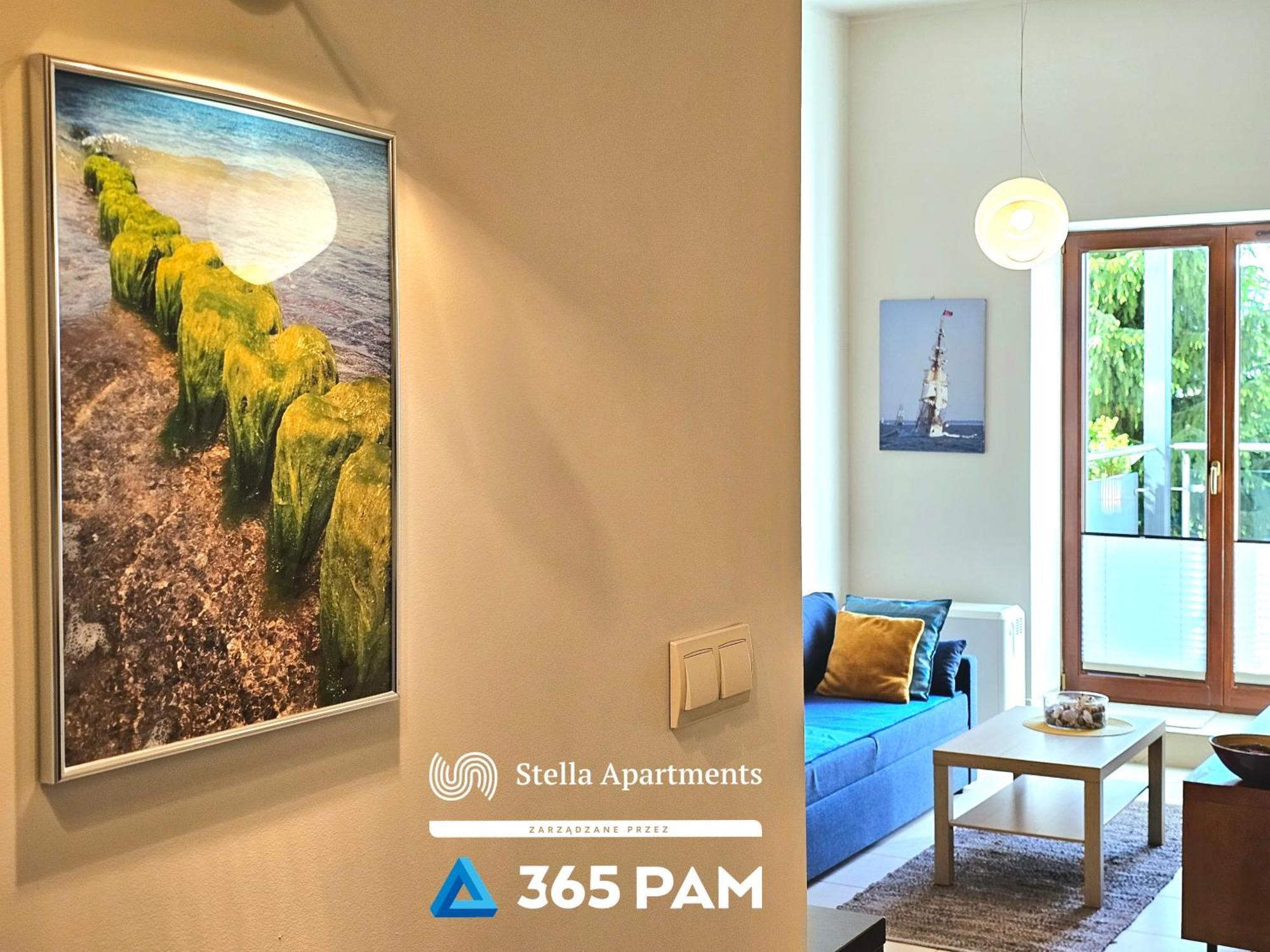 Apartament Plazowy - 365Pam 사르비노보 외부 사진