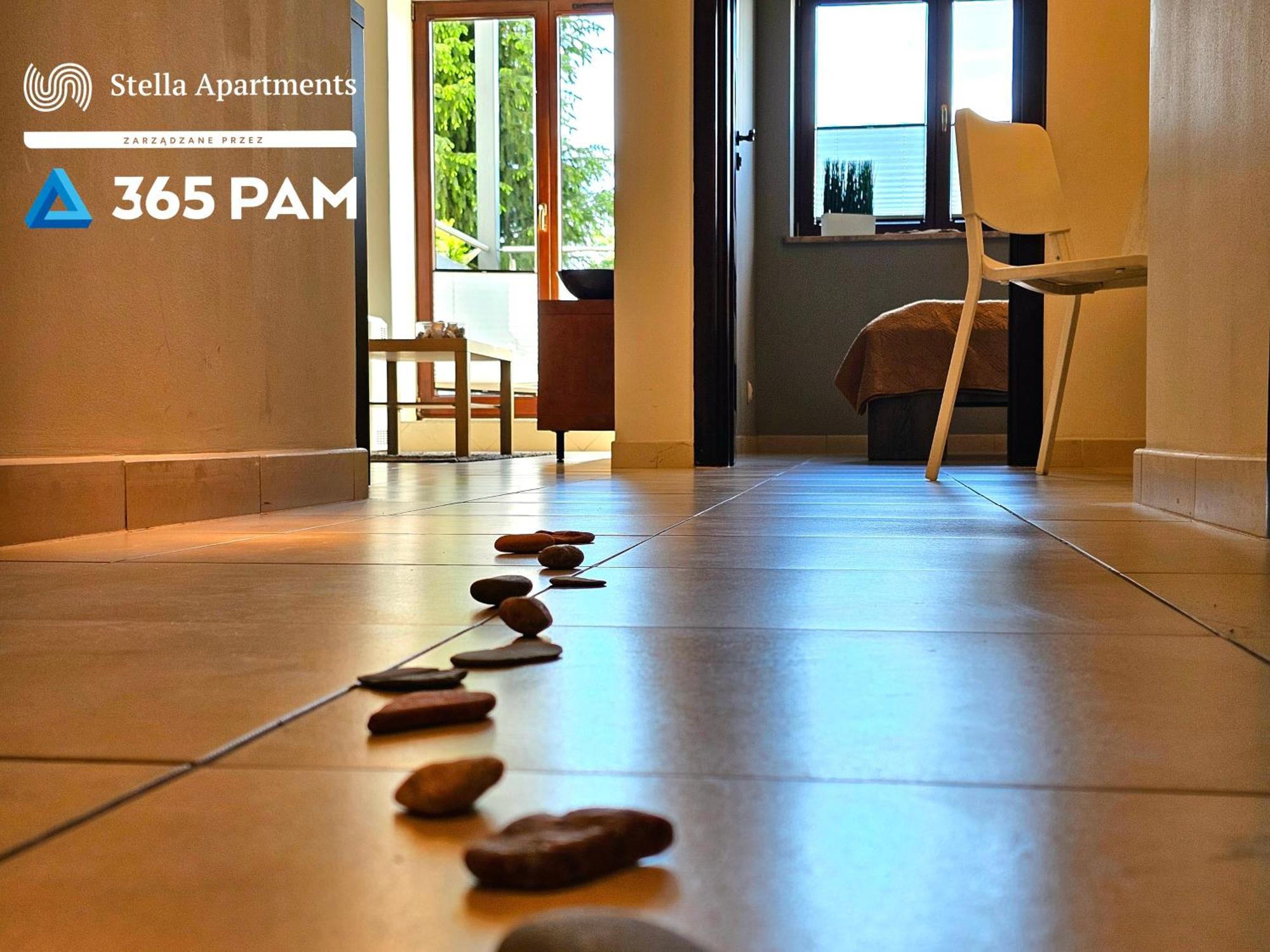 Apartament Plazowy - 365Pam 사르비노보 외부 사진