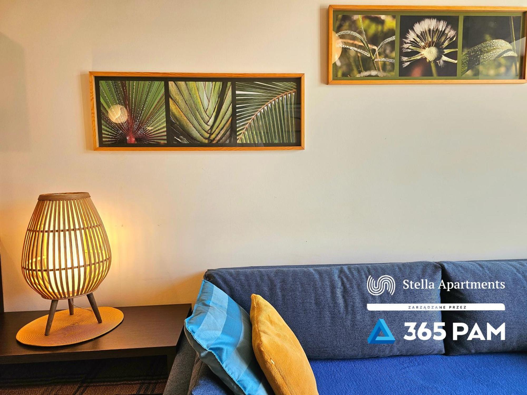 Apartament Plazowy - 365Pam 사르비노보 외부 사진
